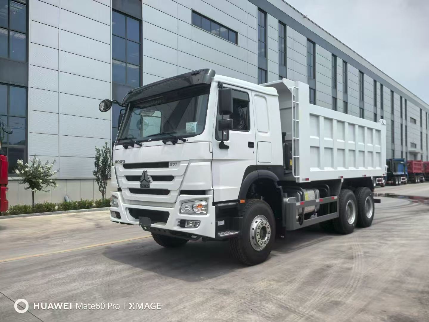 Synotruk Howo Truck